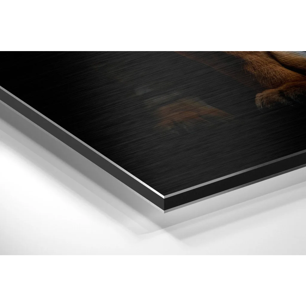 Stunning tiger art in black brown wood frame on brushed aluminium dibond