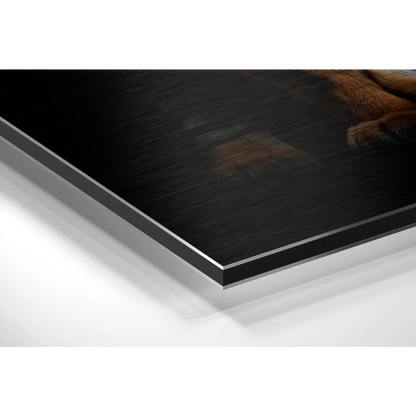 Stunning tiger art in black brown wood frame on brushed aluminium dibond
