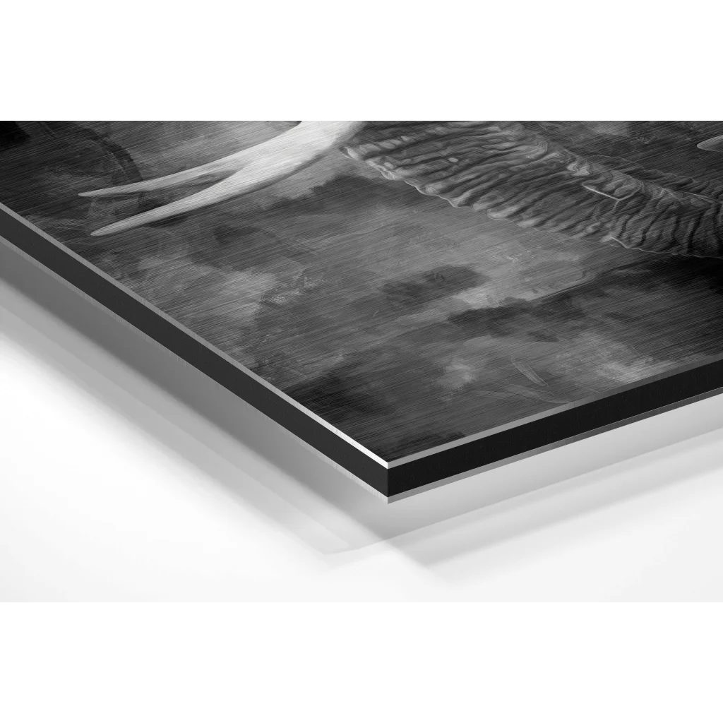 Stunning tiger print on brushed aluminium dibond canvas with metallic frame