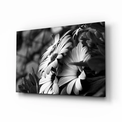 Bold black and white tropical leaf wall art with floral petals