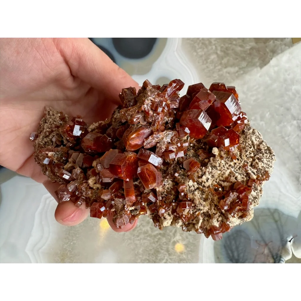 Stunning vanadinite cluster from Mibladen, Morocco, in hand