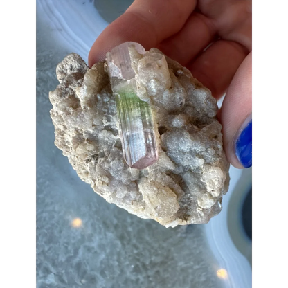 Stunning watermelon tourmaline on albite matrix from Brazil