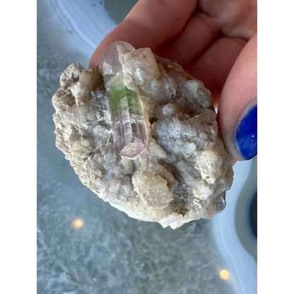 Stunning watermelon tourmaline on albite matrix from Brazil
