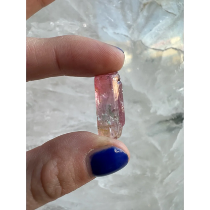 Stunning watermelon tourmaline crystal from Brazil held in fingers