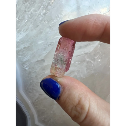 Stunning pink-clear watermelon tourmaline crystal from Brazil, held in fingers
