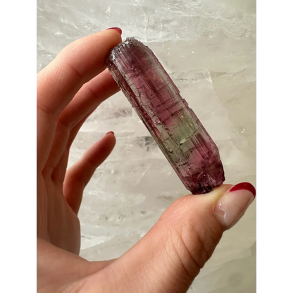 Stunning watermelon tourmaline crystal with purple-to-green gradient and striations