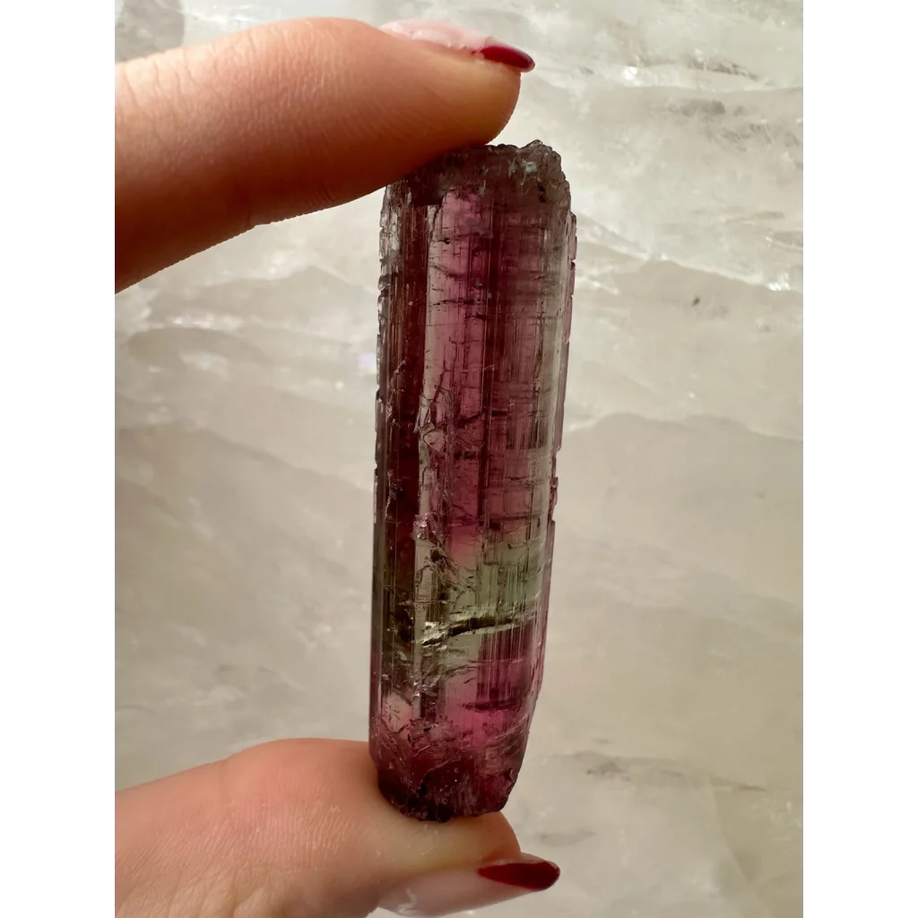 Vibrant pink and green watermelon tourmaline crystal held in fingers