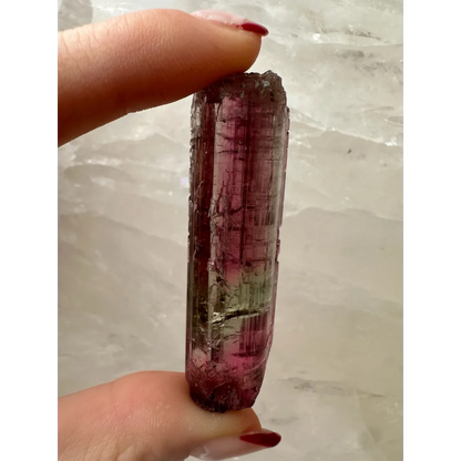 Vibrant pink and green watermelon tourmaline crystal held in fingers
