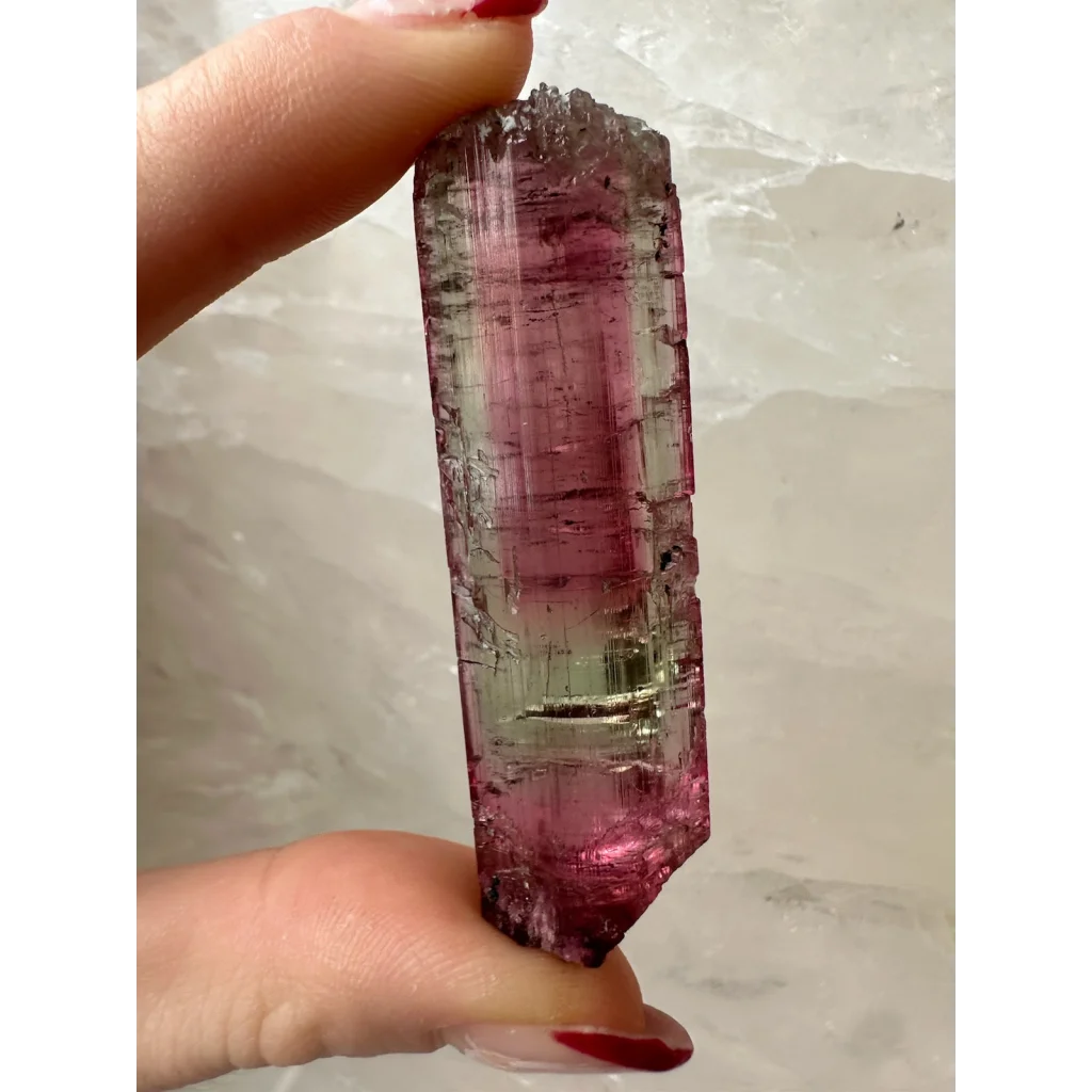 Hand holding vibrant watermelon tourmaline crystal with pink-green gradient