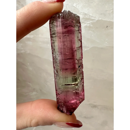 Hand holding vibrant watermelon tourmaline crystal with pink-green gradient