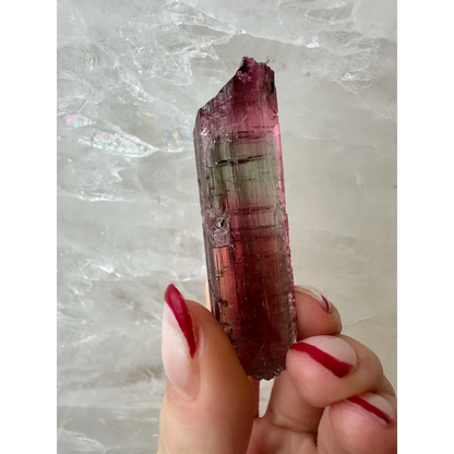 Vibrant watermelon tourmaline crystal in pink to red hues with faceted translucence