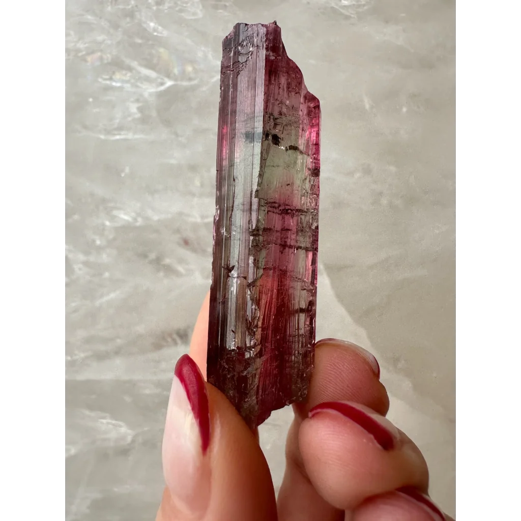 Vibrant pink to red watermelon tourmaline crystal with faceted surface