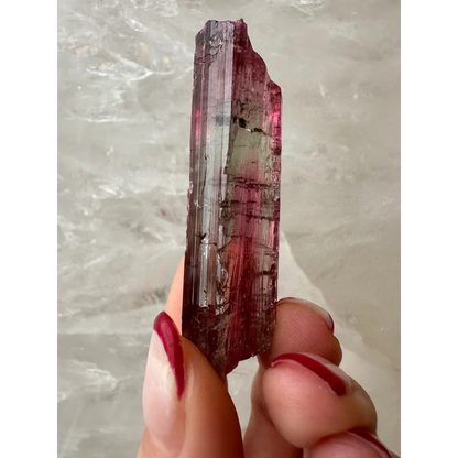 Vibrant pink to red watermelon tourmaline crystal with faceted surface