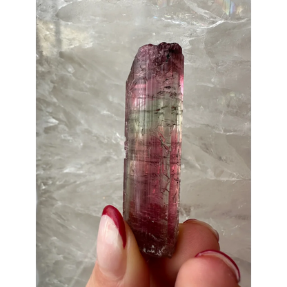 Hand holding vibrant pink green watermelon tourmaline crystal