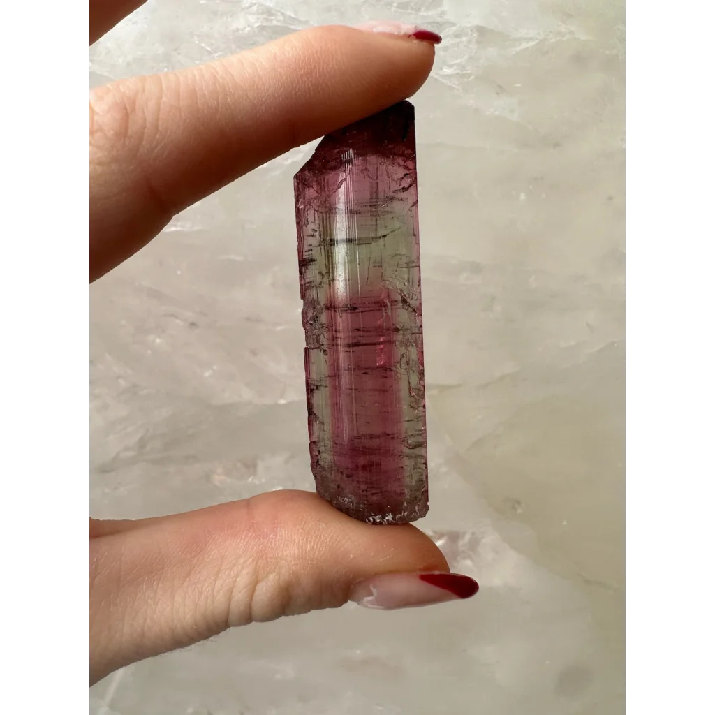 Hand holding translucent purple green watermelon tourmaline crystal with striations
