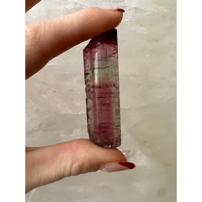 Hand holding translucent purple green watermelon tourmaline crystal with striations