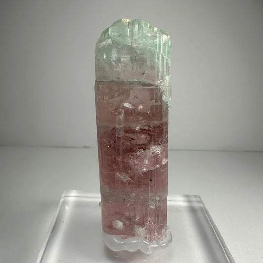 Stunning watermelon tourmaline crystal with pink and green translucent facets