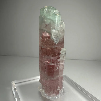 Stunning watermelon tourmaline crystal with pink-green translucent facets