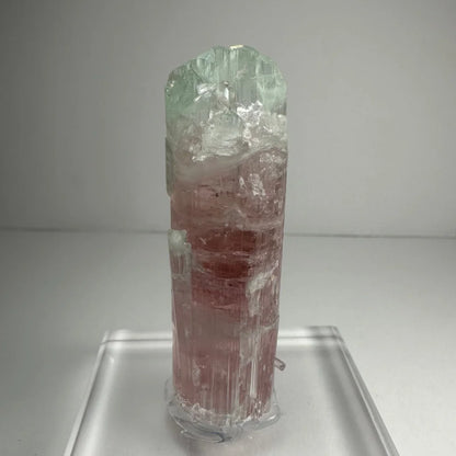 Stunning watermelon tourmaline crystal with pink and green hues