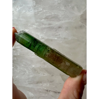 Vibrant watermelon tourmaline Paprok crystal from Afghanistan