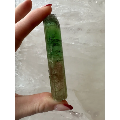 Stunning watermelon tourmaline Paprok crystal from Afghanistan