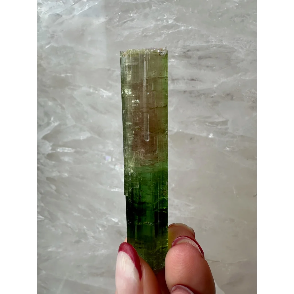 Hand holding translucent green watermelon tourmaline Paprok crystal from Afghanistan