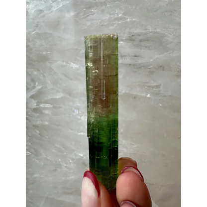 Hand holding translucent green watermelon tourmaline Paprok crystal from Afghanistan