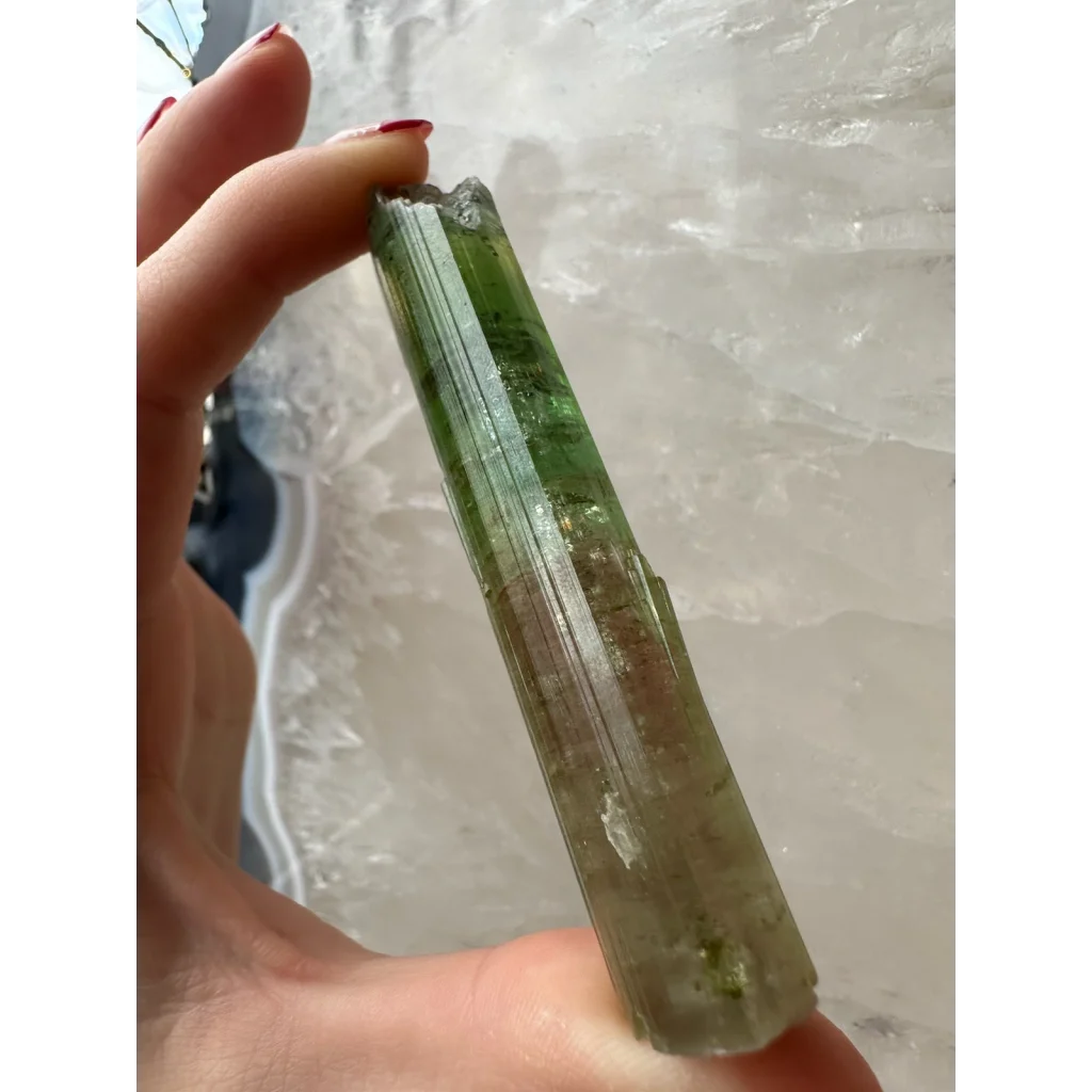 Stunning watermelon tourmaline Paprok crystal from Afghanistan
