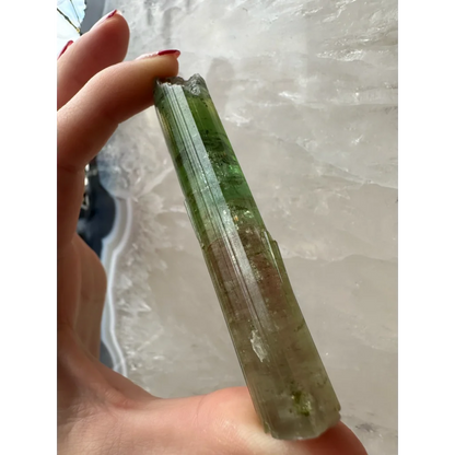Stunning watermelon tourmaline Paprok crystal from Afghanistan