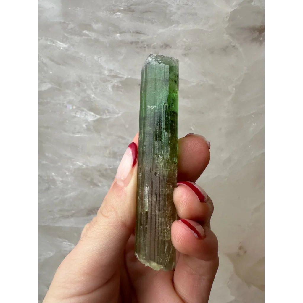 Hand holding translucent green watermelon tourmaline Paprok crystal from Afghanistan