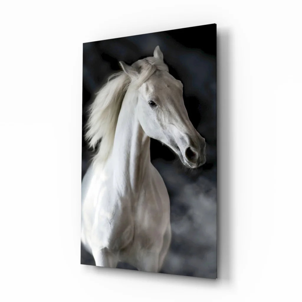 Sleek glossy white horse portrait glass wall art on dark gray background