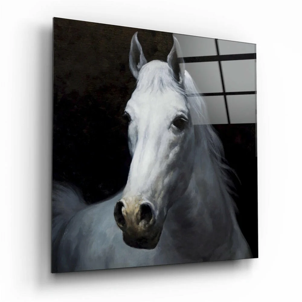 Stunning white horse x-ray glass wall art print with modern accents