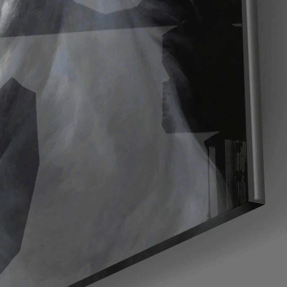 Stunning white horse x-ray on black and white film glass wall art
