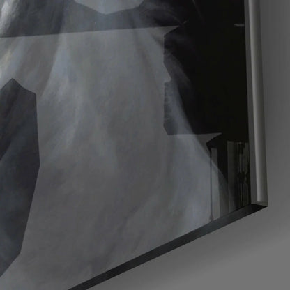 Stunning white horse x-ray on black and white film glass wall art