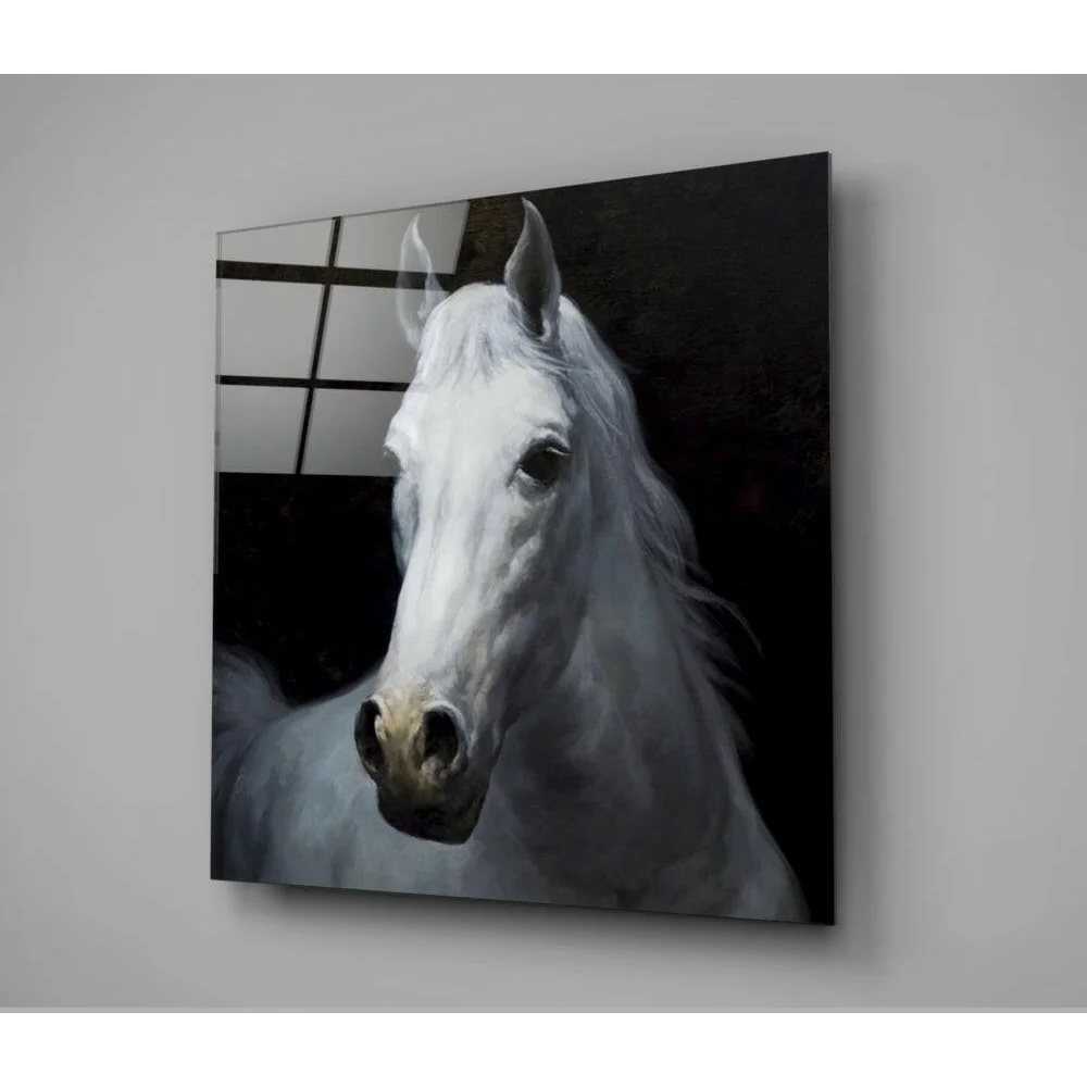 Stunning white horse x-ray glass wall art print on black background