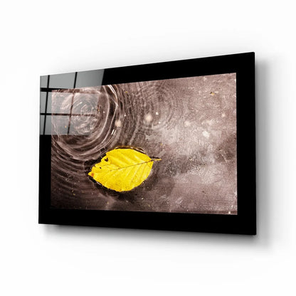 Vibrant yellow leaf on dark rippling water in black frame glass wall art