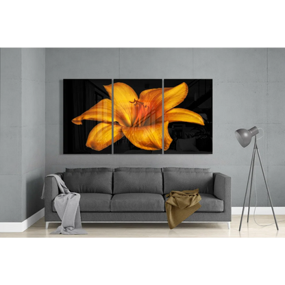 Stunning yellow lily glass wall art tri-panel set on black background