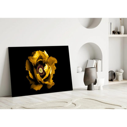 Stunning yellow poppy glass wall art on bold black canvas