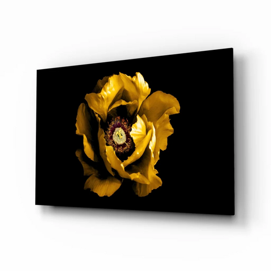 Stunning yellow poppy glass wall art on bold black canvas
