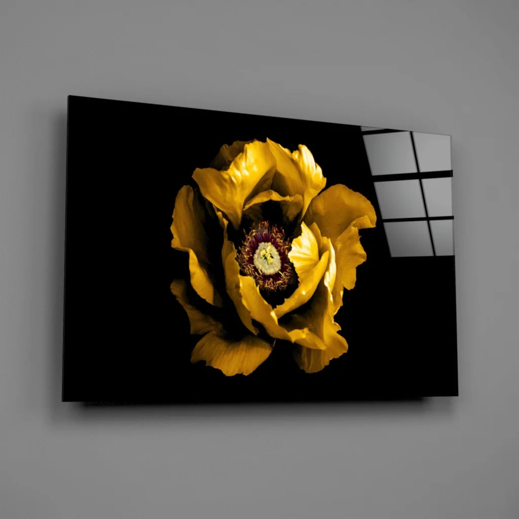Stunning yellow poppy glass wall art on bold black canvas with white grid