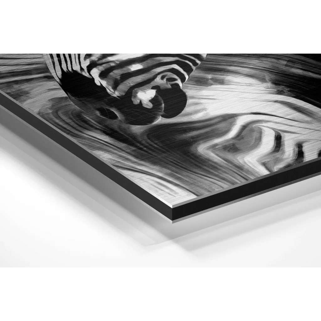 Glass Wall Art Stunning black and white zebra art on brushed aluminium dibond