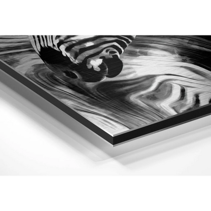 Stunning black and white zebra art on brushed aluminium dibond