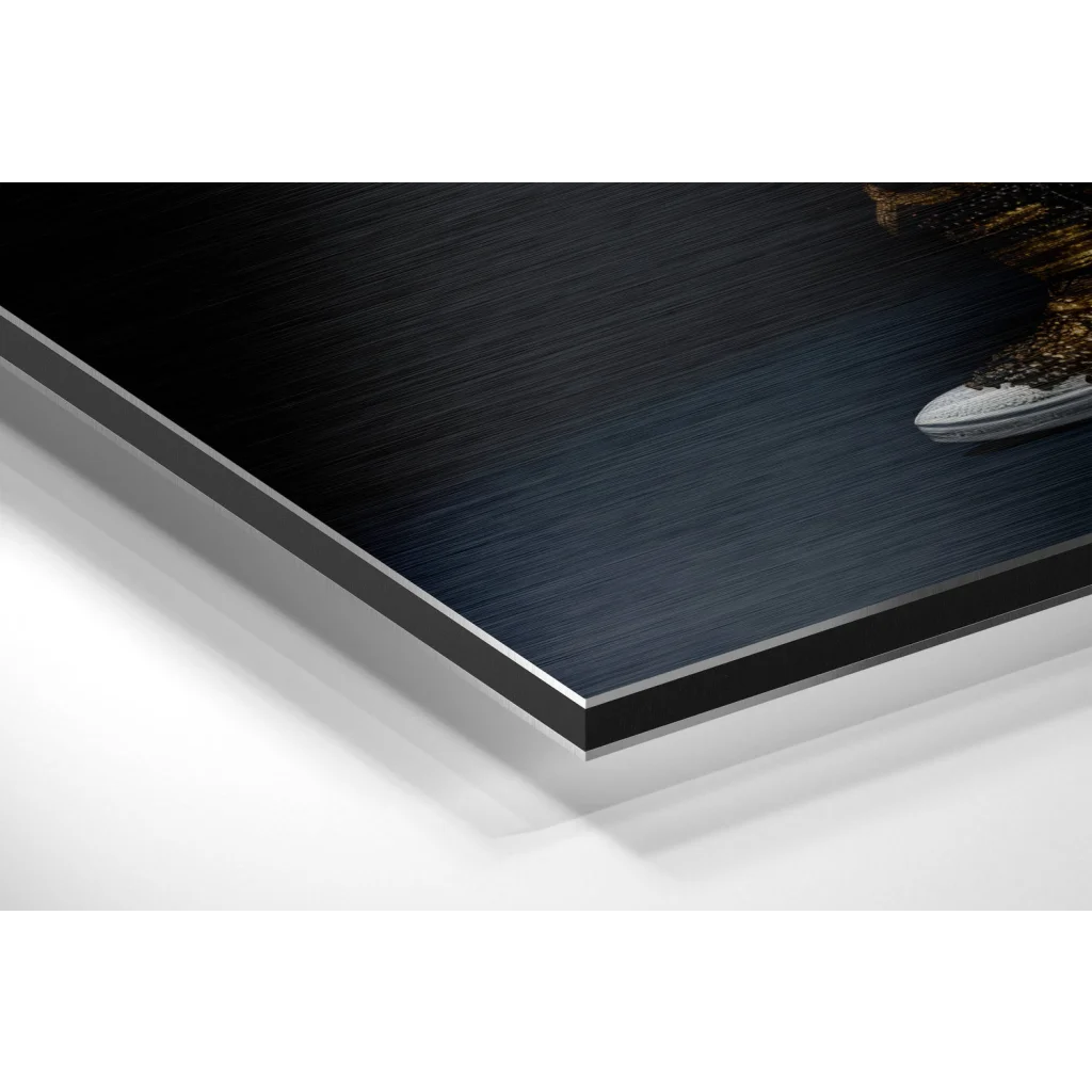 Stunning brushed aluminium dibond sneaker wall art print