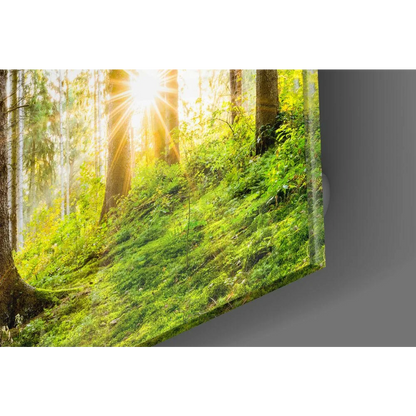 Sunlit forest canvas wall art with golden light through vibrant green trees