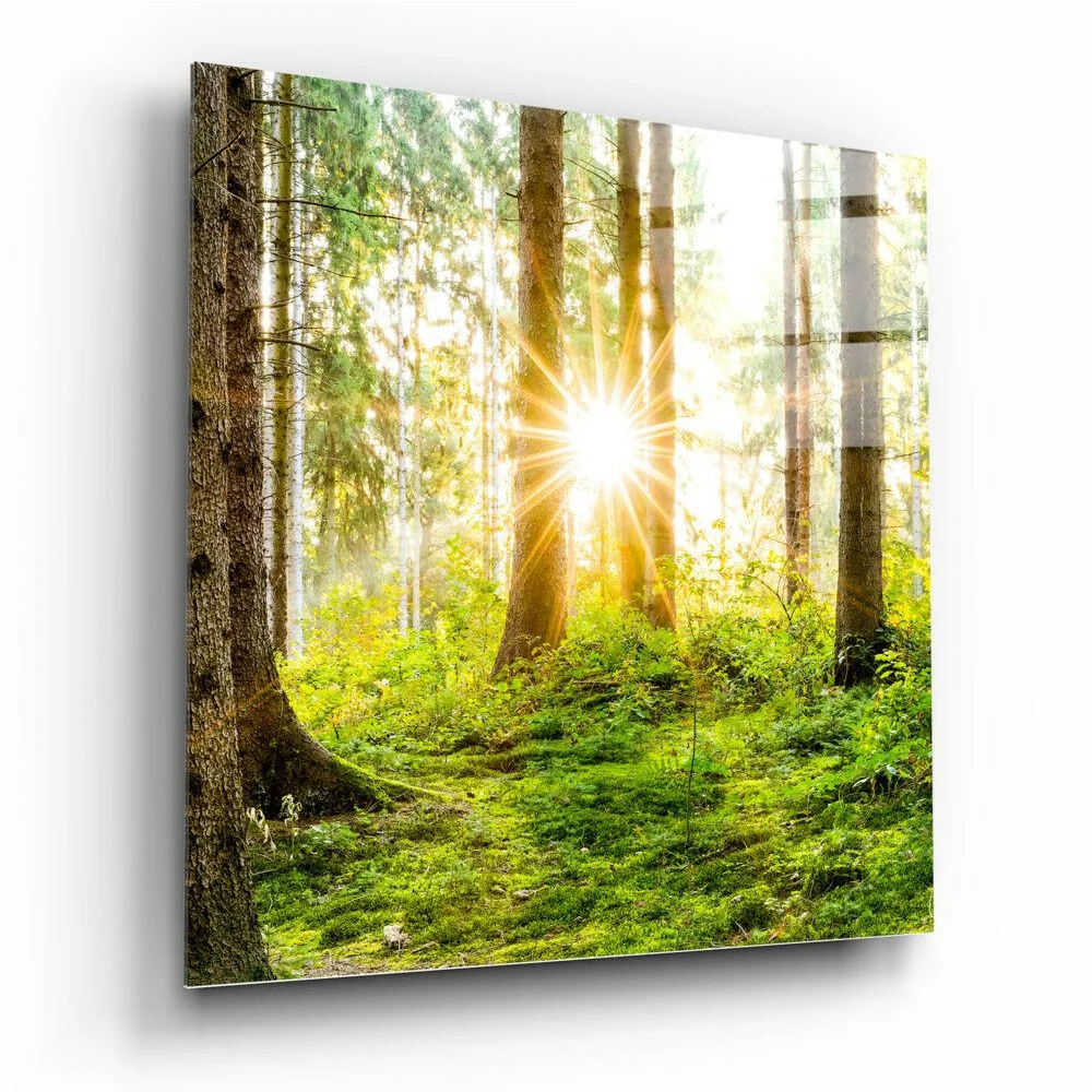 Sunlit forest canvas wall art with golden sunburst through tall green trees