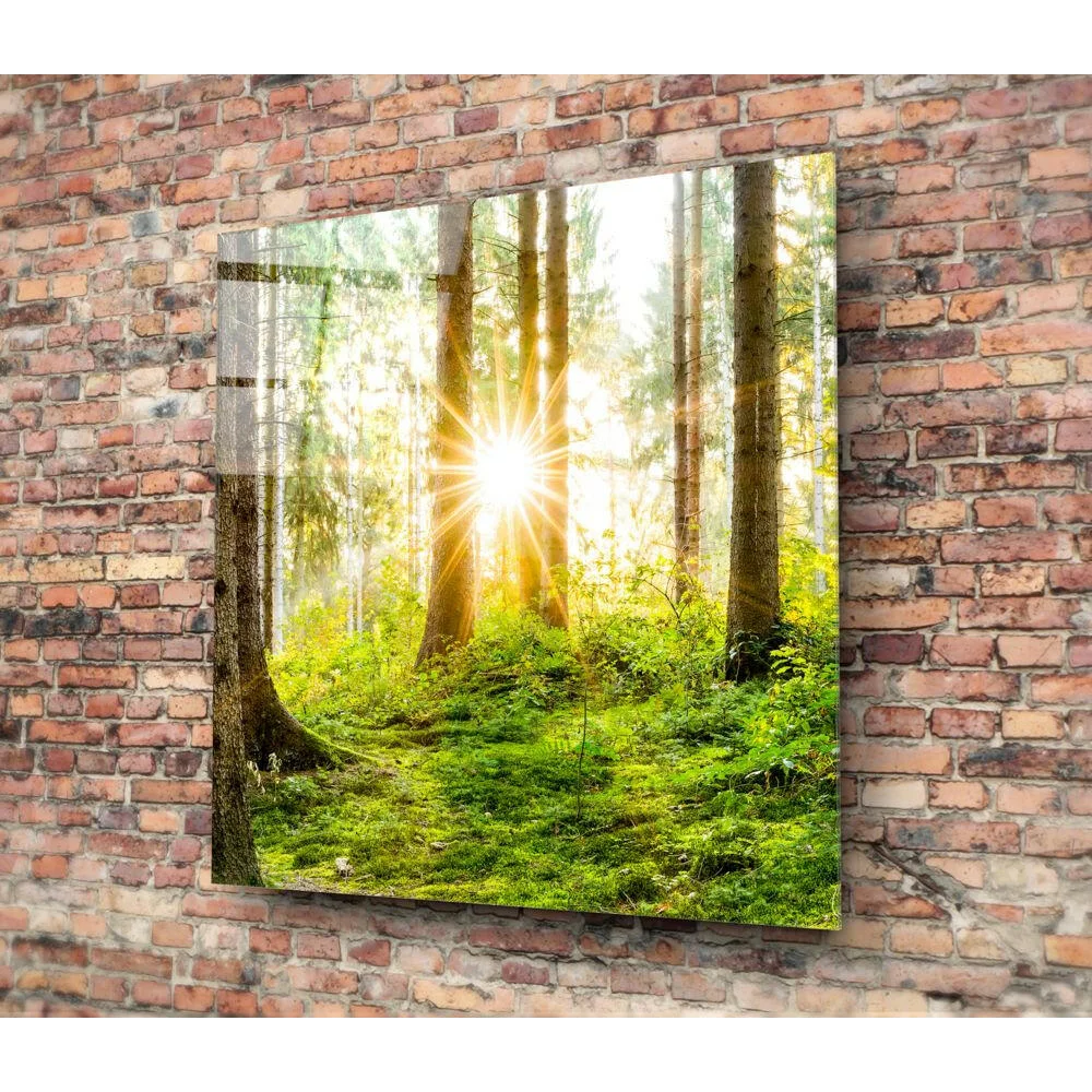 Sunlit forest canvas wall art with golden light through green trees