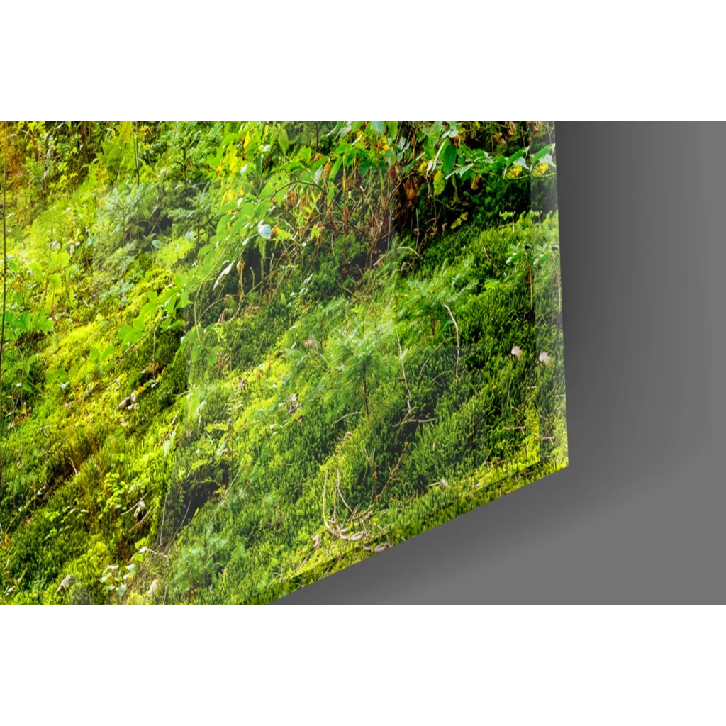 Vibrant green moss wall art panel mimicking sunlit forest trees