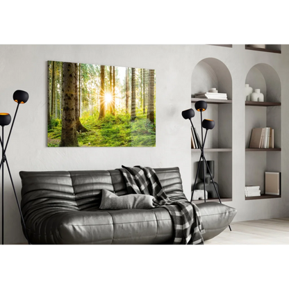 Black leather sofa with tufted cushions and plaid throw under Sunlit Forest wall art