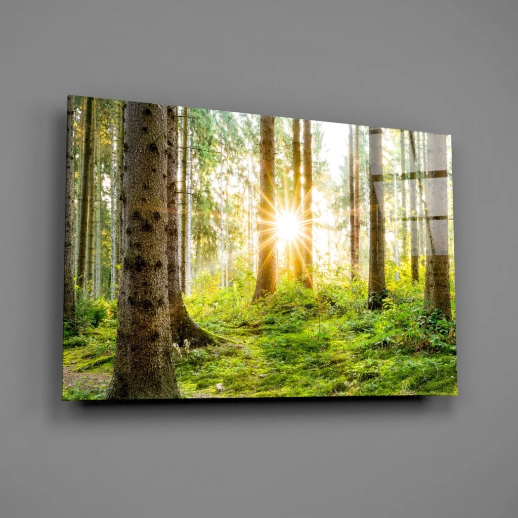 Sunlit forest canvas wall art with sun rays through vibrant green trees