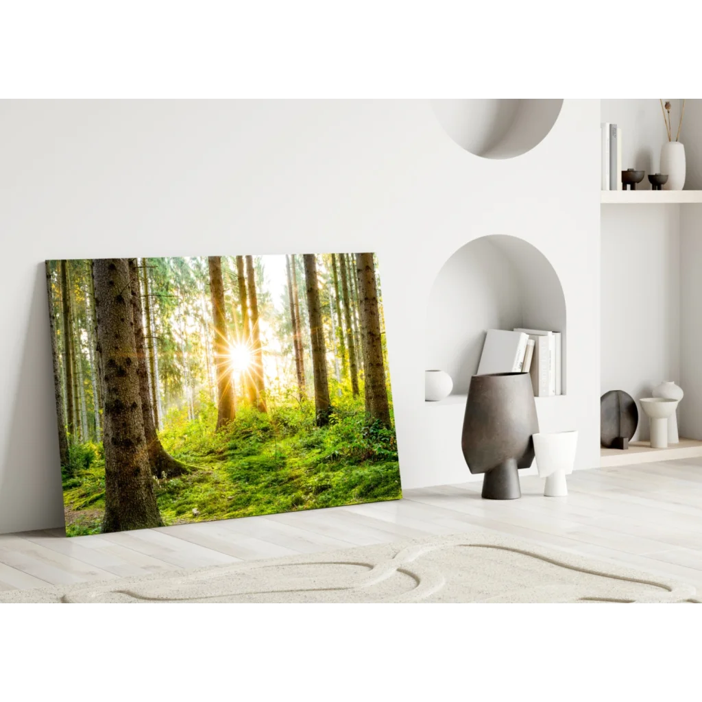 Vibrant sunlit forest canvas wall art with tall green trees and dappled light
